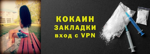 ешки Вяземский
