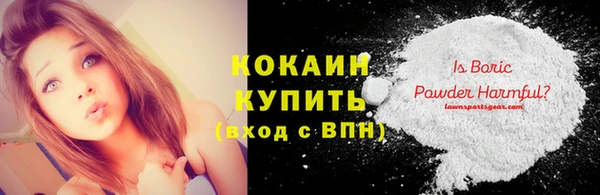 ешки Вяземский