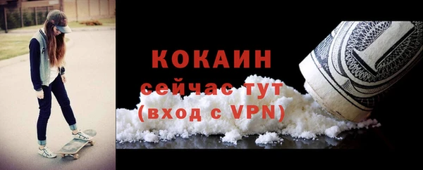 ешки Вяземский