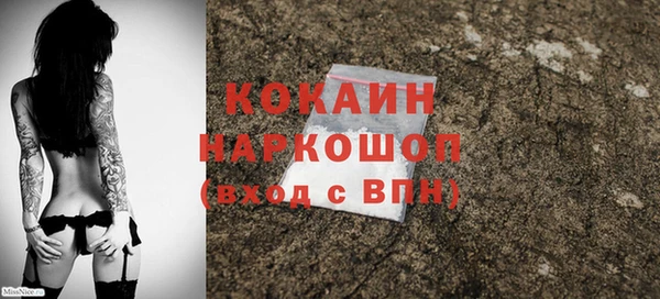 ешки Вяземский