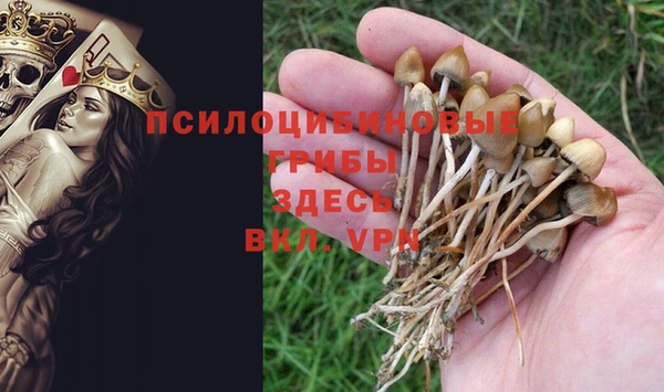 твердый Осинники