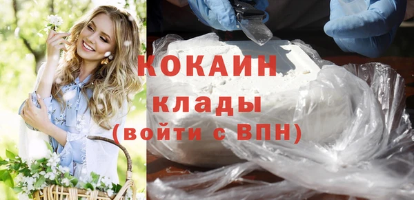 ешки Вяземский